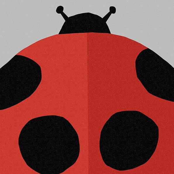 Lorna Freytag Ladybird 1