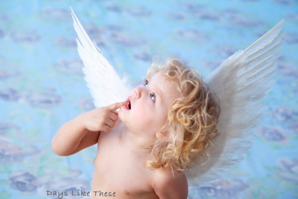 Cherub © Phill Babb