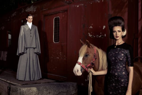 Dynasty © Bronwyn Kidd