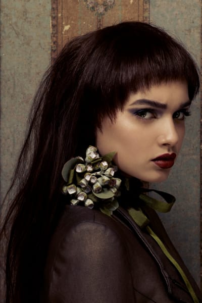 Dynasty © Bronwyn Kidd