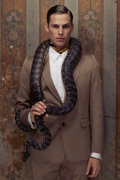 Dynasty © Bronwyn Kidd