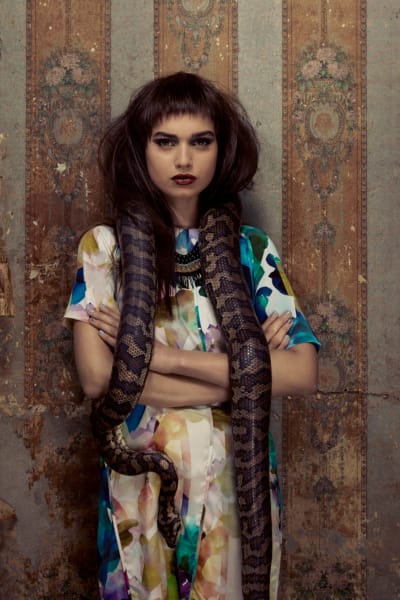 Dynasty © Bronwyn Kidd
