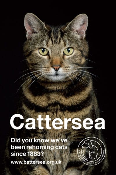 Cattersea © Jo Sax