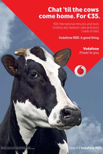 Chat 'til the cows come home ©Jo Sax