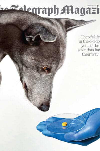 Daily Telegraph Magazine Cover © Jo Sax