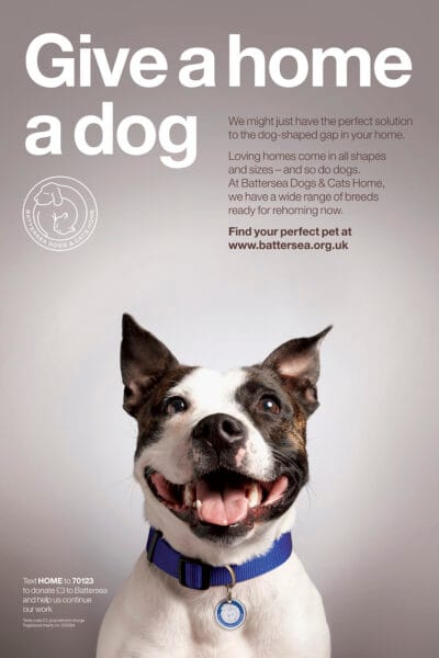 Give a Dog a Home © Jo Sax