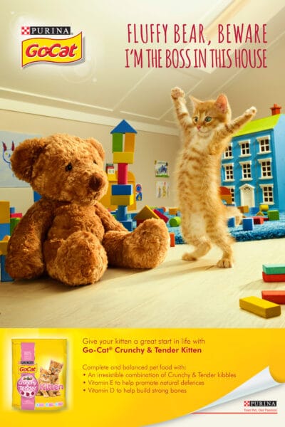 Go Cat Your Cat Campaign © Jo Sax