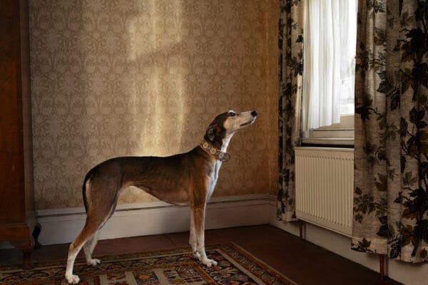 Lotty Waiting © Jo Sax