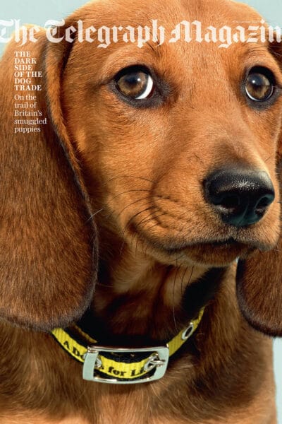 Telegraph Saturday Magazine Cover © Jo Sax
