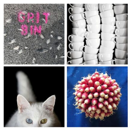 Tea Cups © Zoe Norfolk